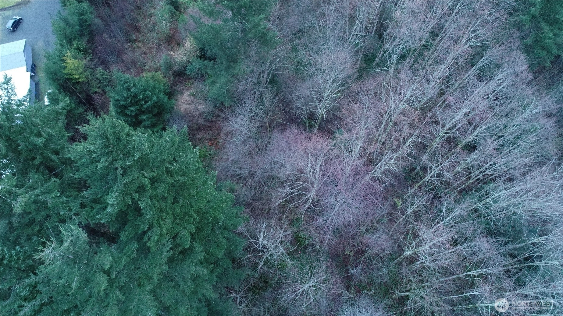 N 2nd St Morton WA 98572