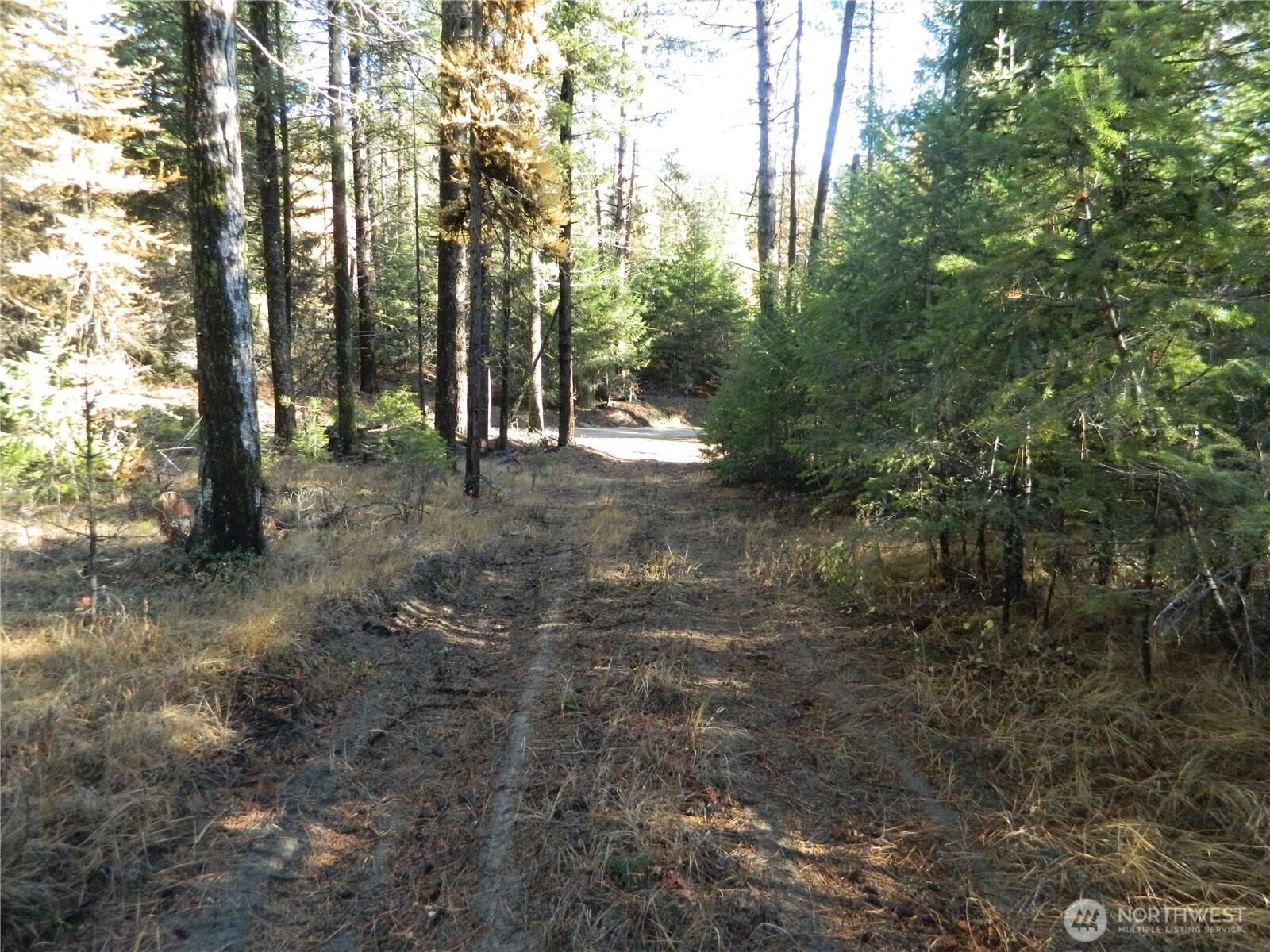 Tbd Summit Lake Rd Tonasket WA 98855