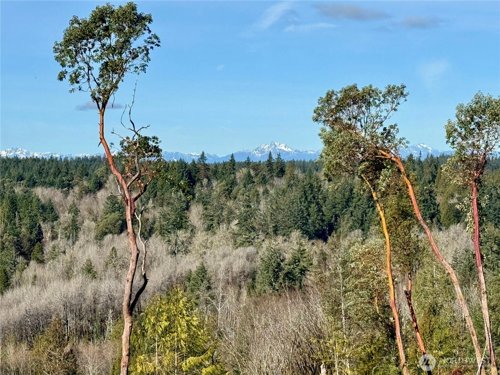 4223 183rd Ave Ct SW Unit  Longbranch WA 98351