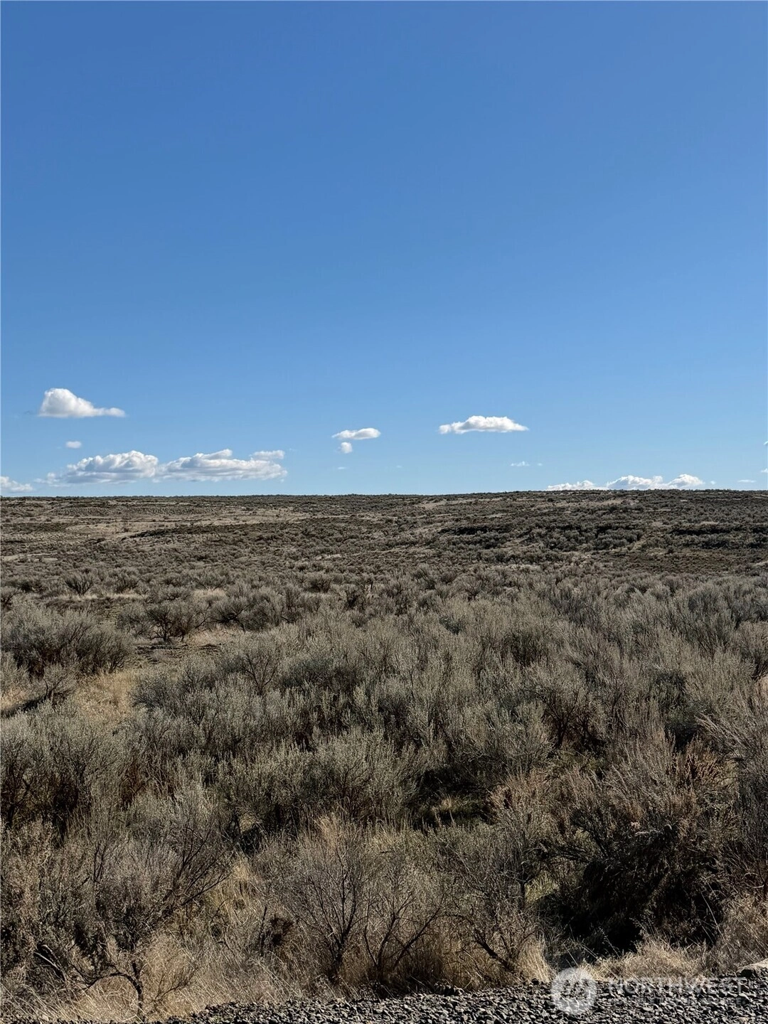 225 Eagle Springs Ranch Unit  Wilson Creek WA 98860