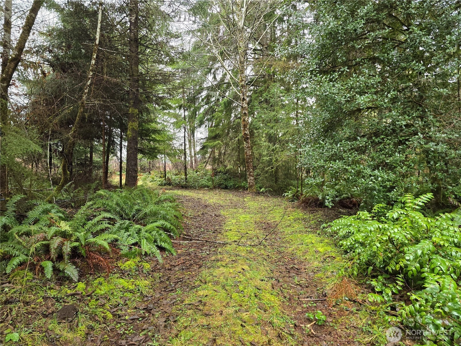 0 Lot 1&2 W Elk Hill Rd Unit  Elma WA 98541