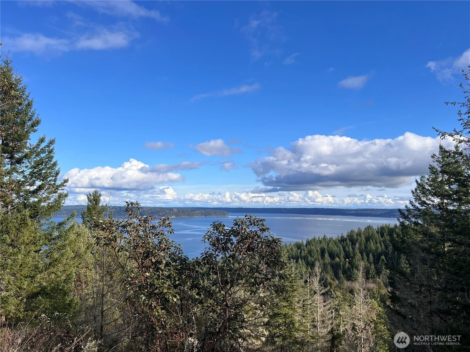 59 X Moose Mountain Rd Brinnon WA 98320