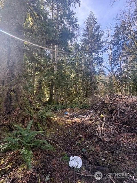 63605 NE 189th St Unit  Baring WA 98224