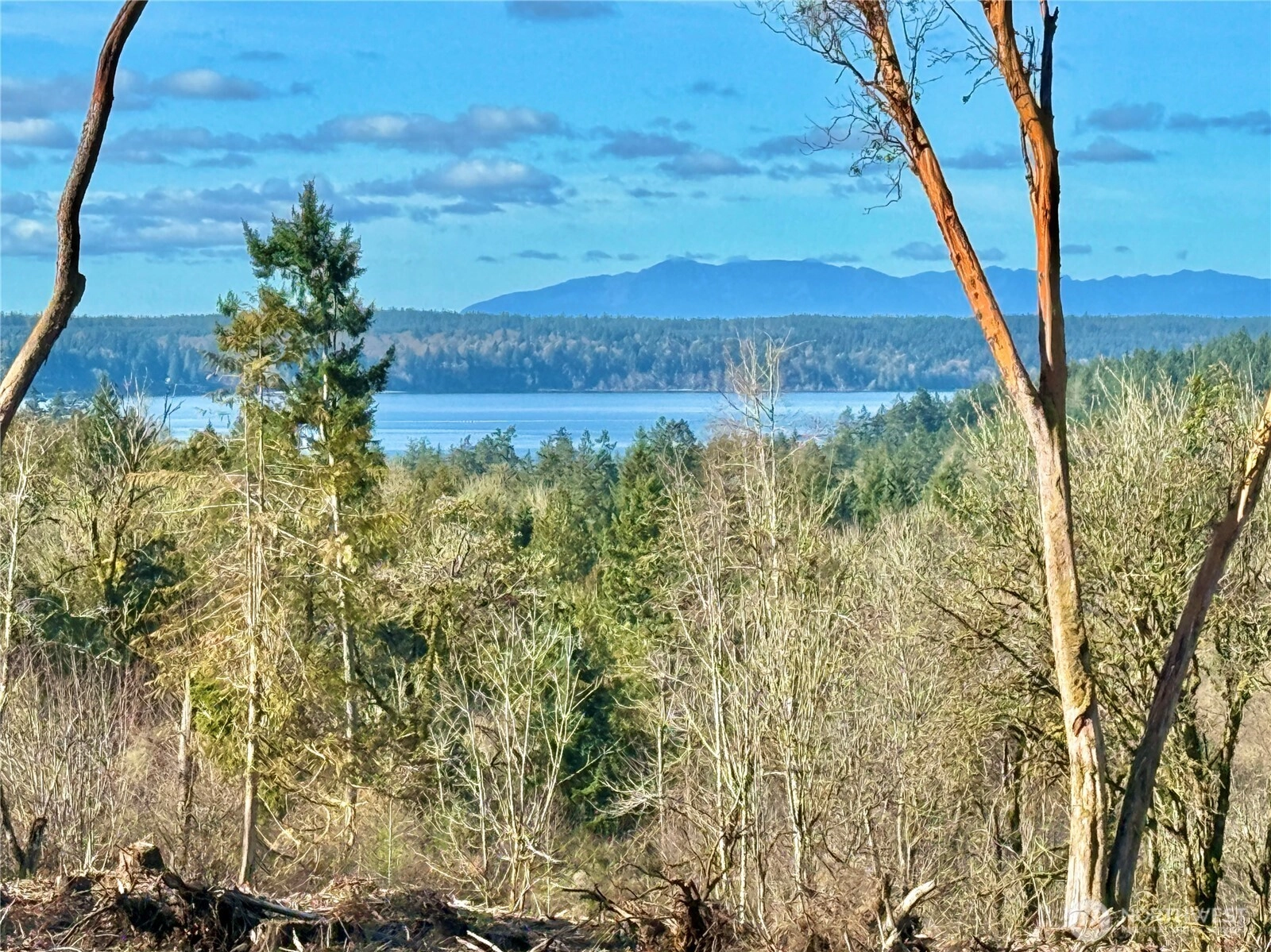 4324 183rd Ave Ct SW Unit  Longbranch WA 98351