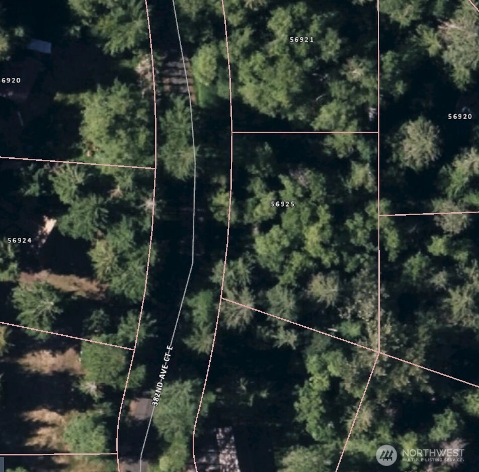 56925 382nd Ave Ct E Ashford WA 98304