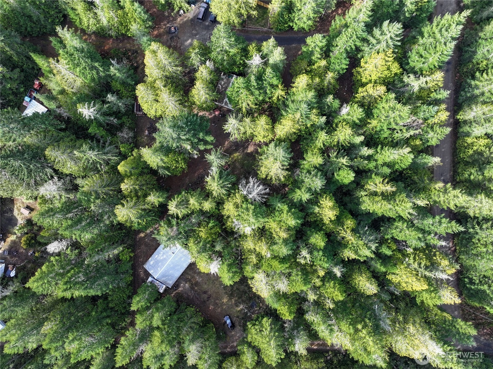 260 NE Kissin Tree Ln Tahuya WA 98588