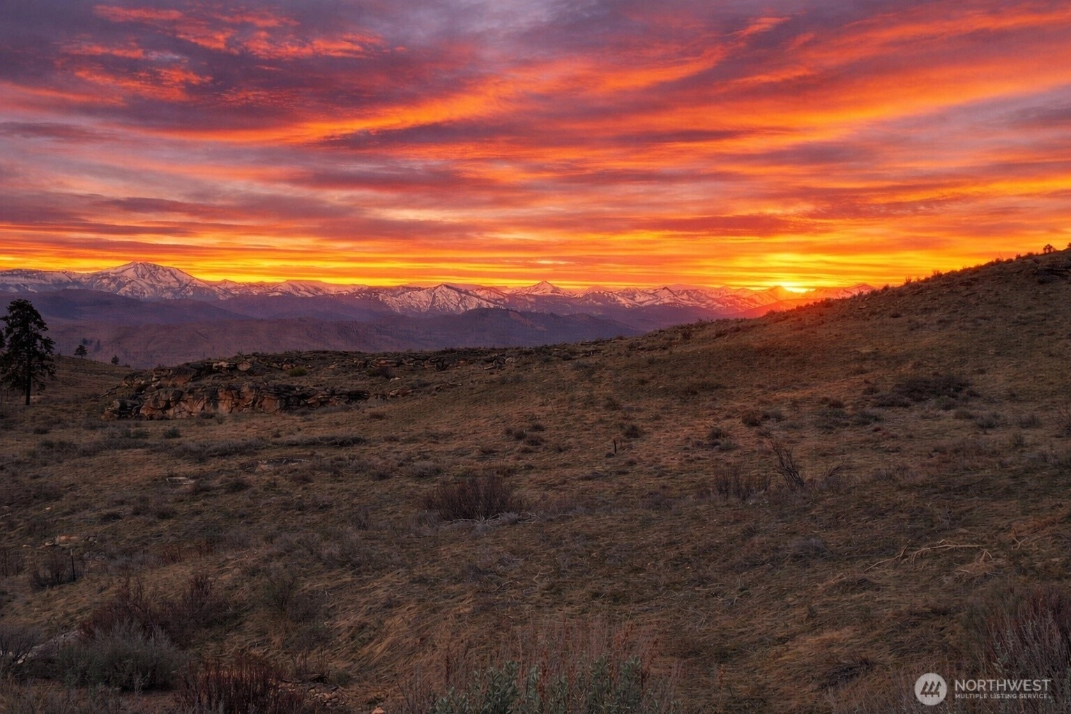 Mclaughlin Canyon Rd Tonasket WA 98855