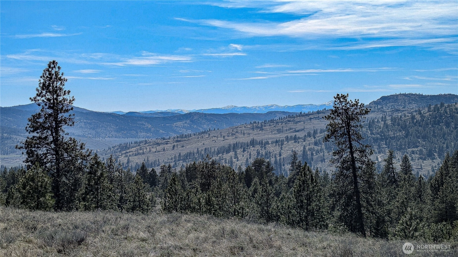 60 E Cayuse Mountain Rd Tonasket WA 98855