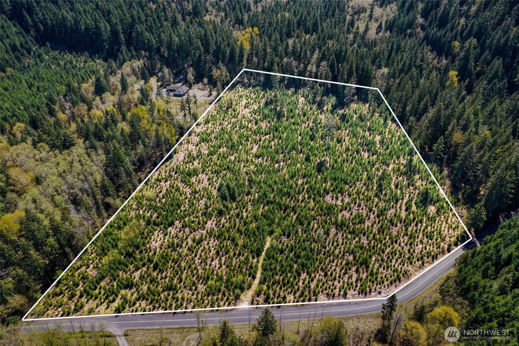 Cline St Randle WA 98377