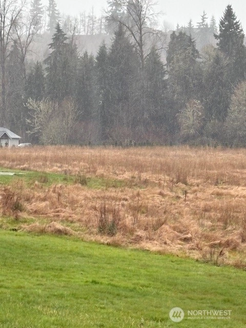 102 Maulwee Dr Silver Creek WA 98585