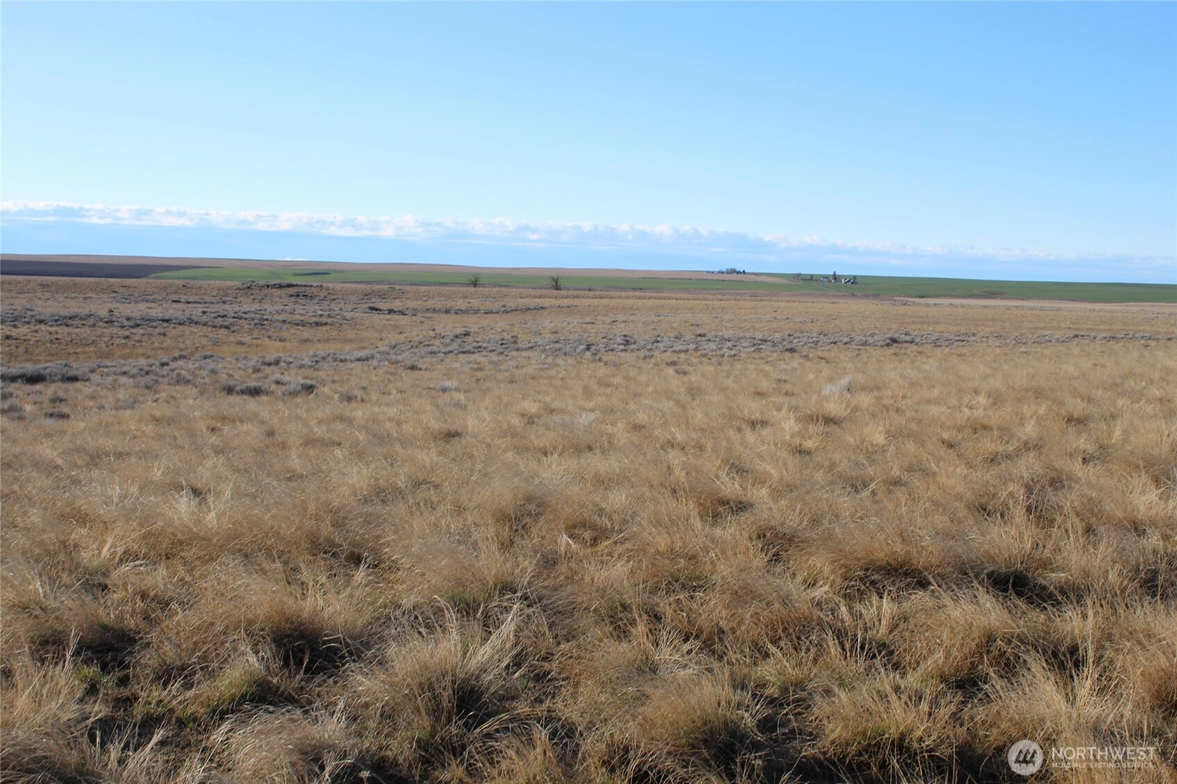 Schafer And Dewalt Rd Ritzville WA 99169