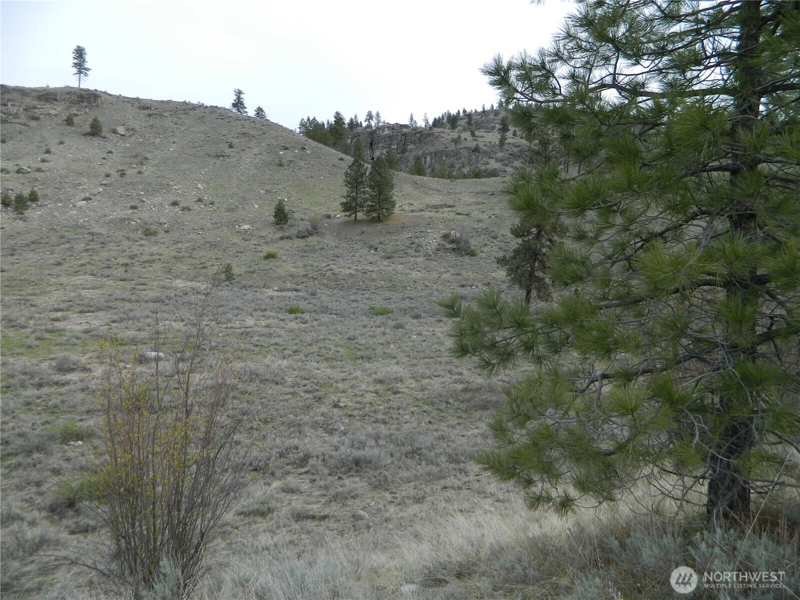 11 Tbd Six Gun Way Tonasket WA 98855