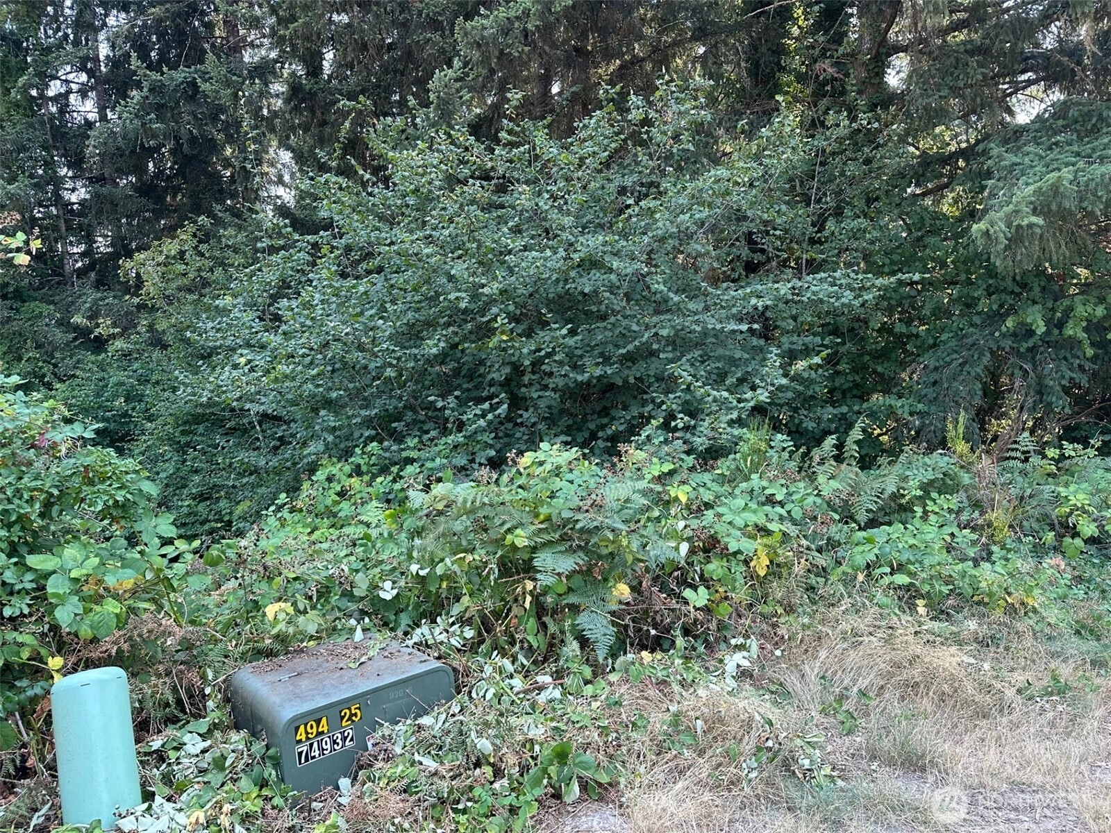 0 Lot 28 NE Wanda Ct Unit  Belfair WA 98528