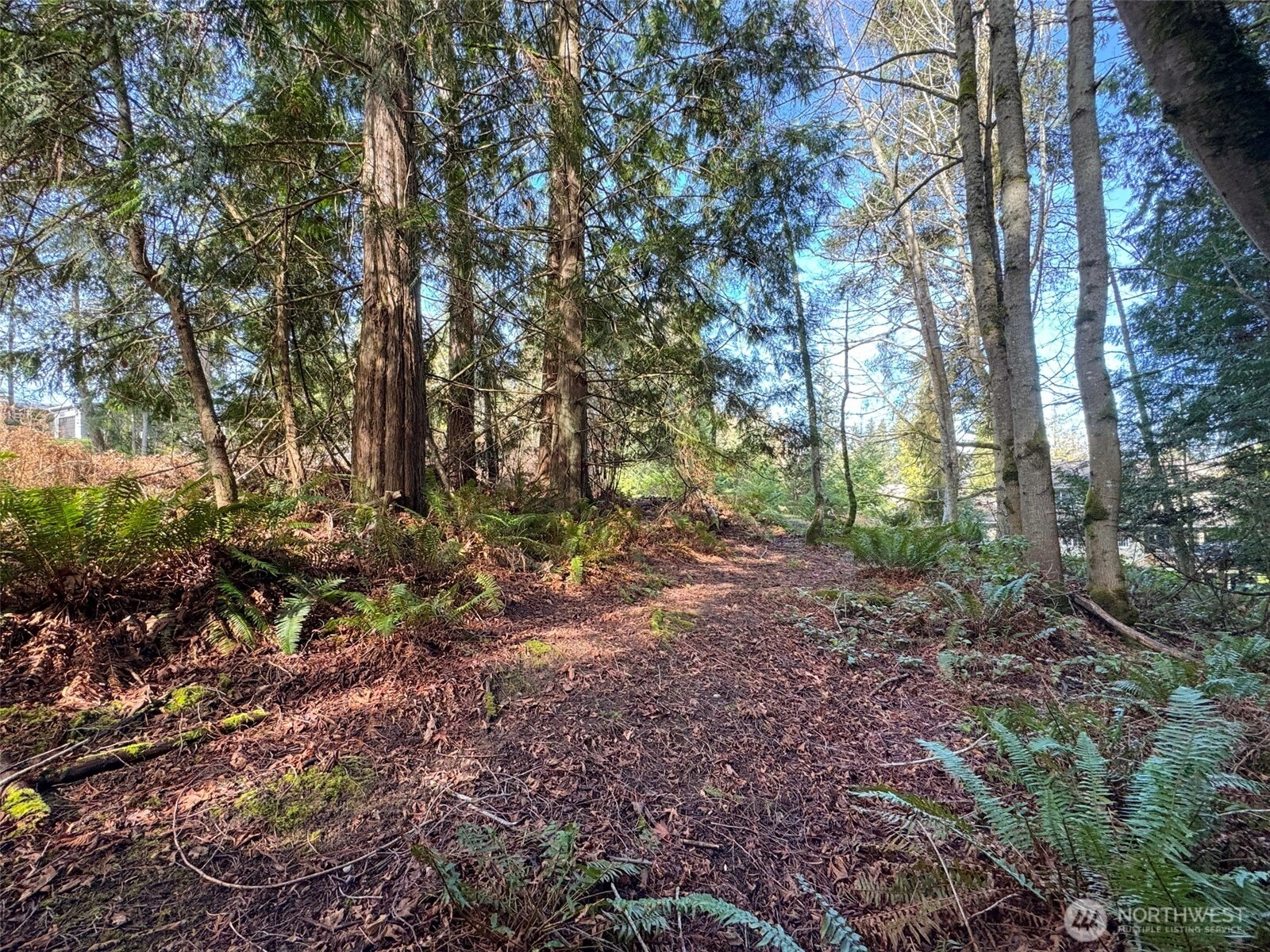 9999 Delguzzi Dr Unit  Port Angeles WA 98362