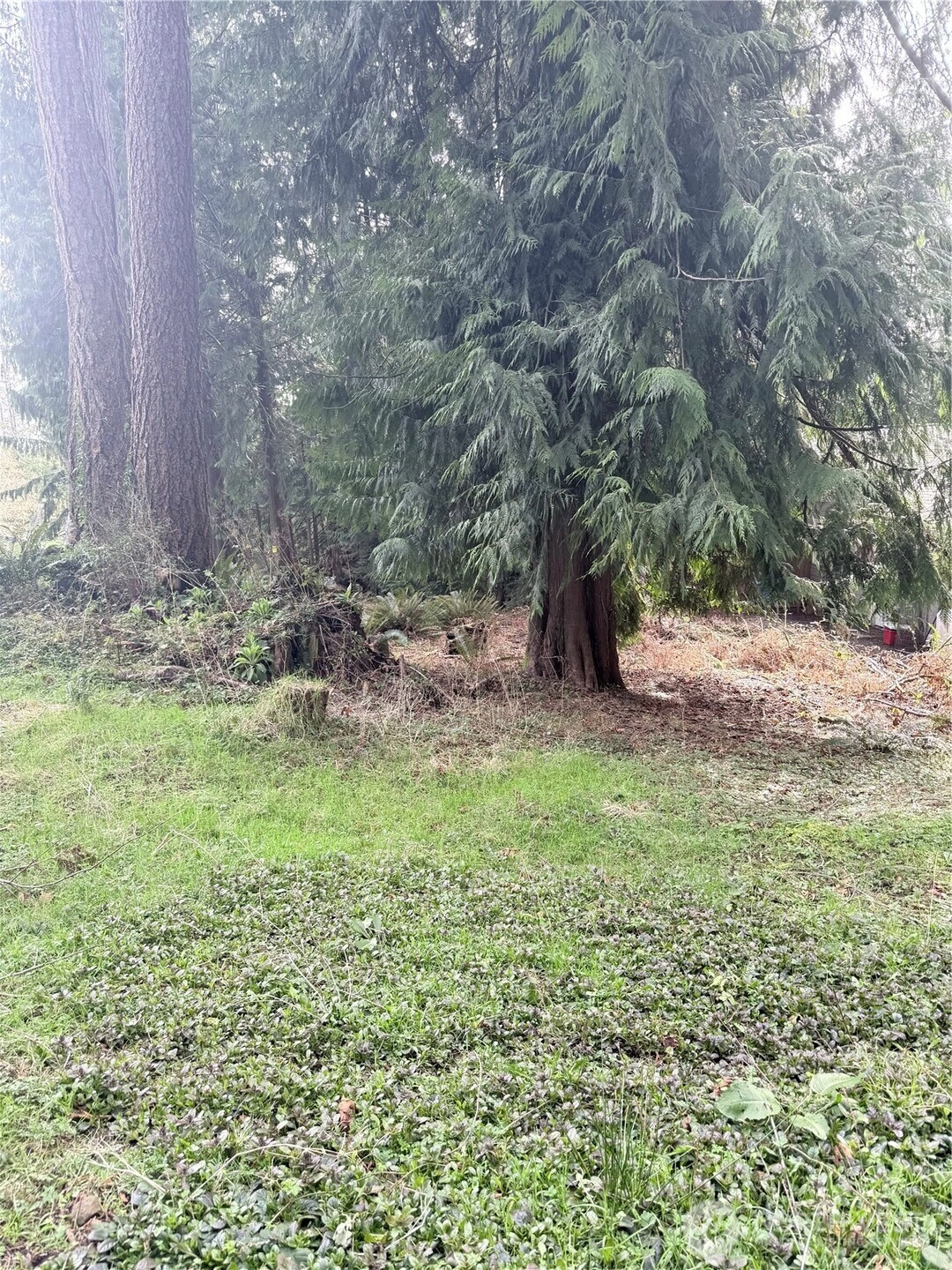 0 xxx West Rd Sedro Woolley WA 98284
