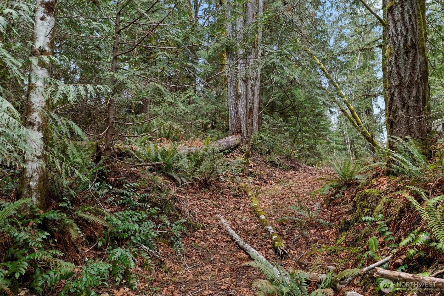 N Olympic Trails Dr Unit  Lilliwaup WA 98555