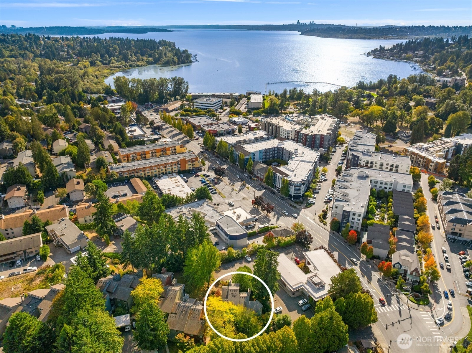 12014 98th Ave NE Unit 101 Unit 101 Kirkland WA 98034