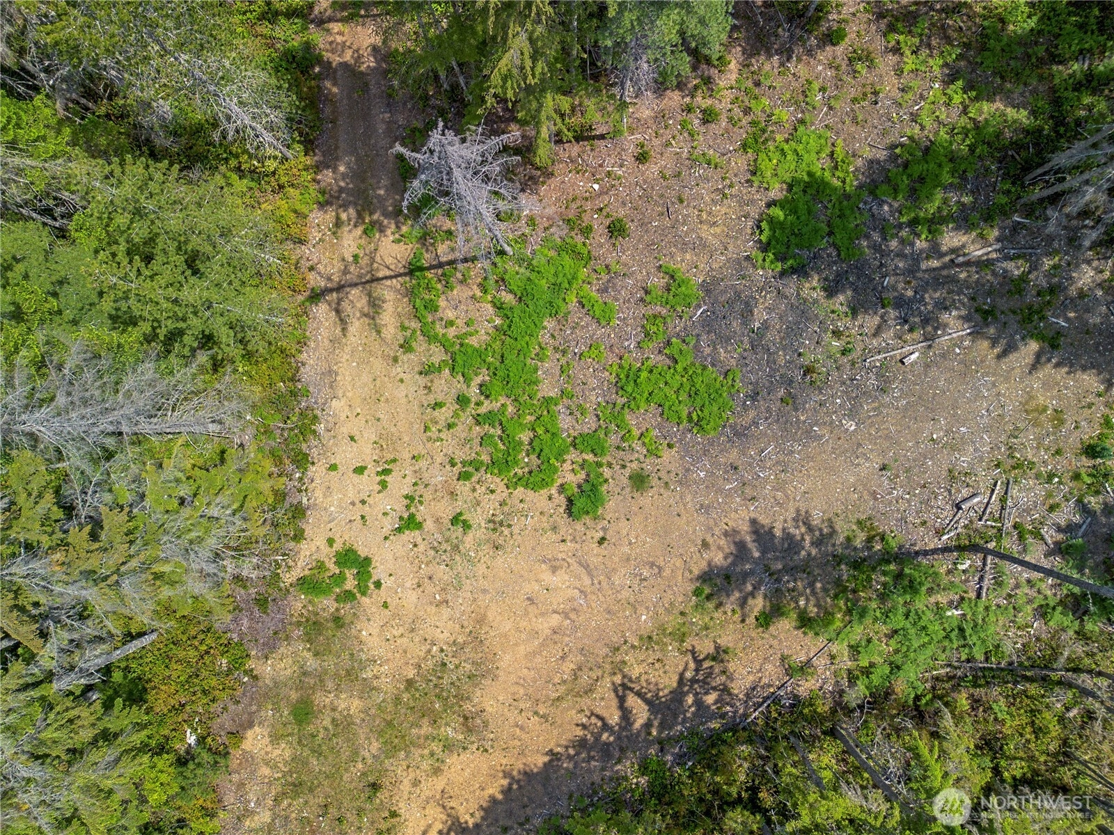 905 NE Tahuya Blacksmith Rd Tahuya WA 98588