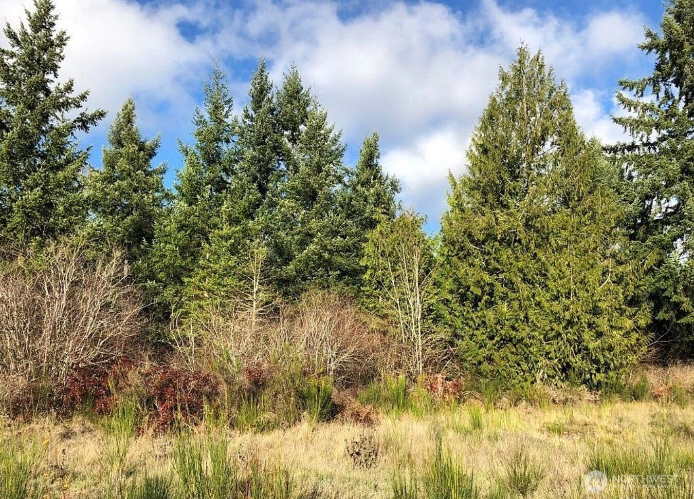 14623 Lindsay Loop Se Yelm WA 98597