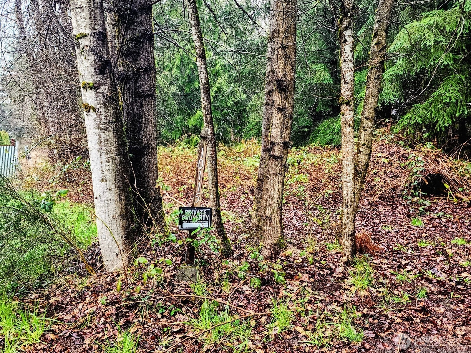 10115 226th Ave Ct E Buckley WA 98321