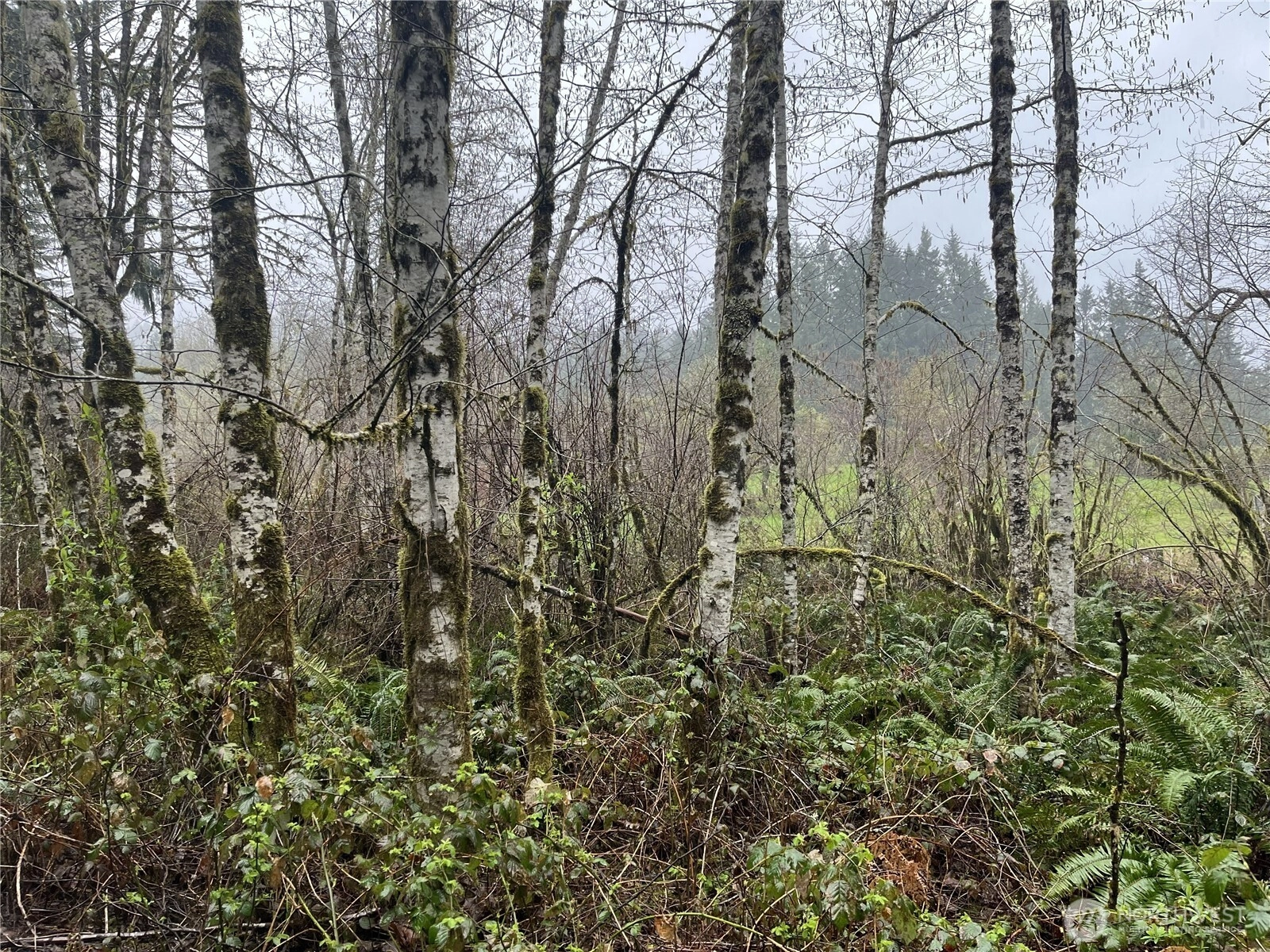 2625 Stonecrest Ln NW Olympia WA 98502