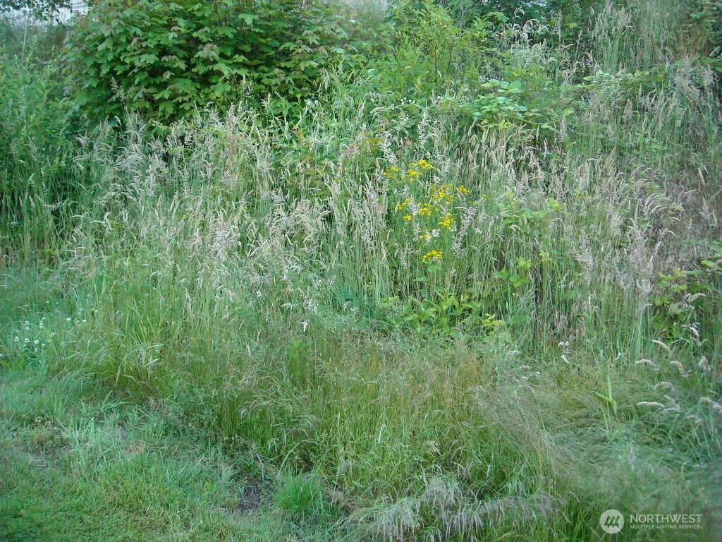 613 E 56th St Tacoma WA 98404