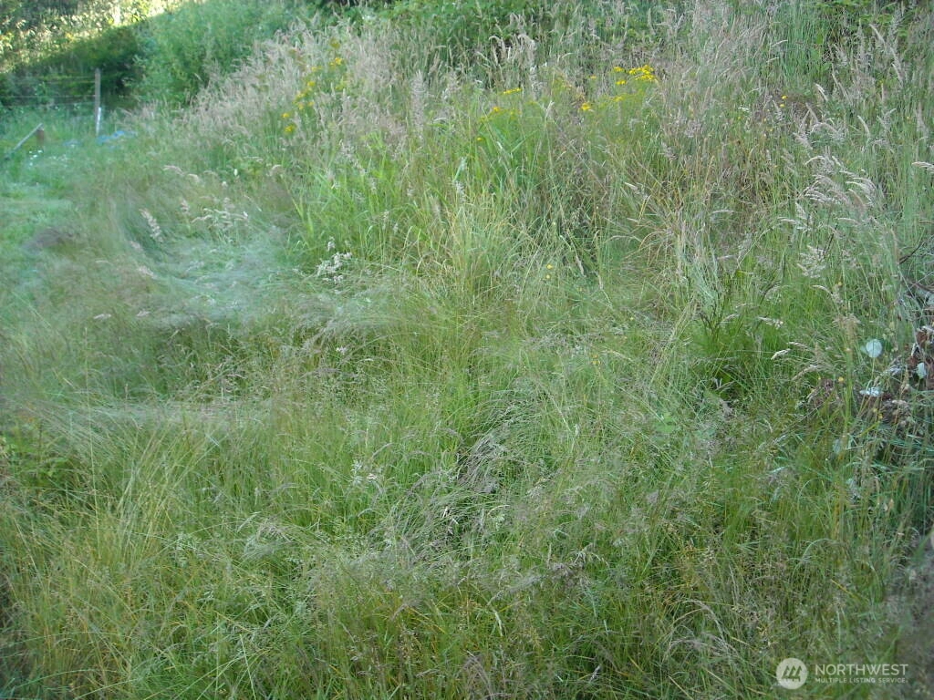 514 E 55th St Tacoma WA 98404