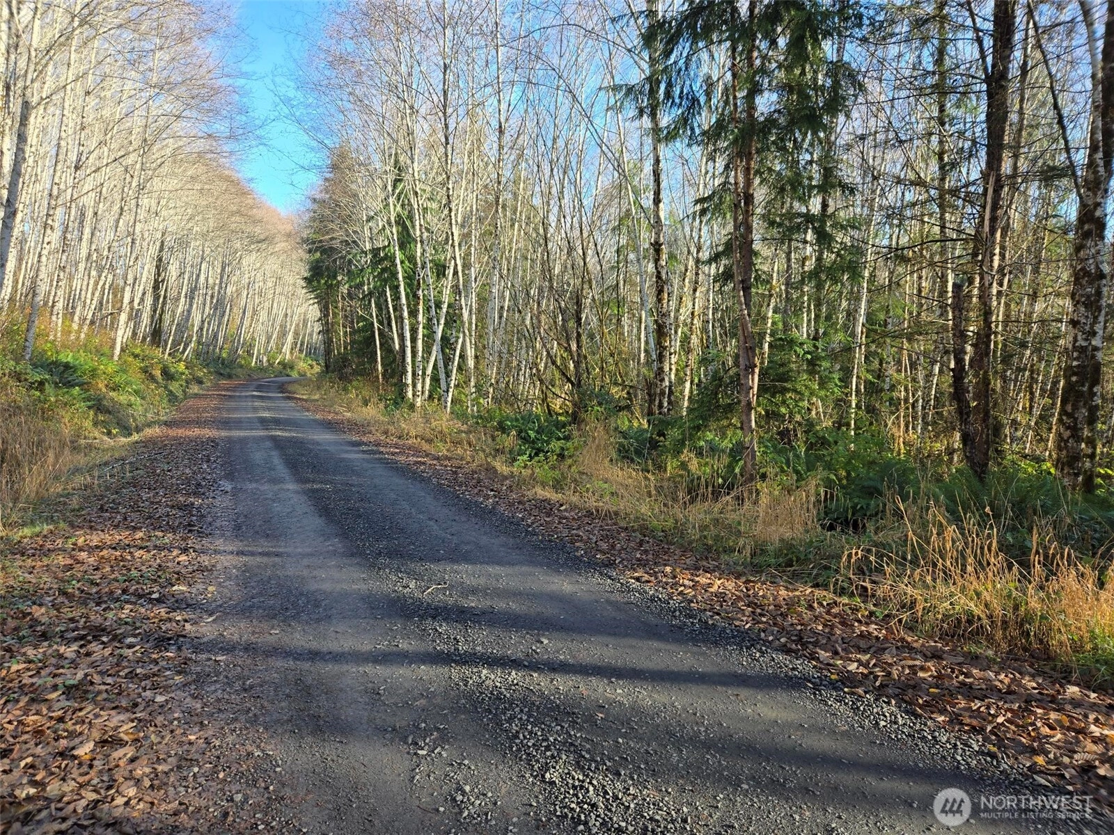 0 NKA Fall River Rd Cosmopolis WA 98537