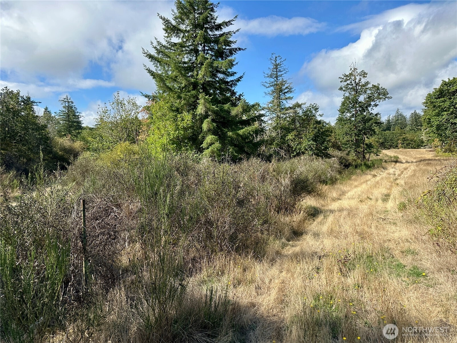 Dannie Womer Ln Oakville WA 98568