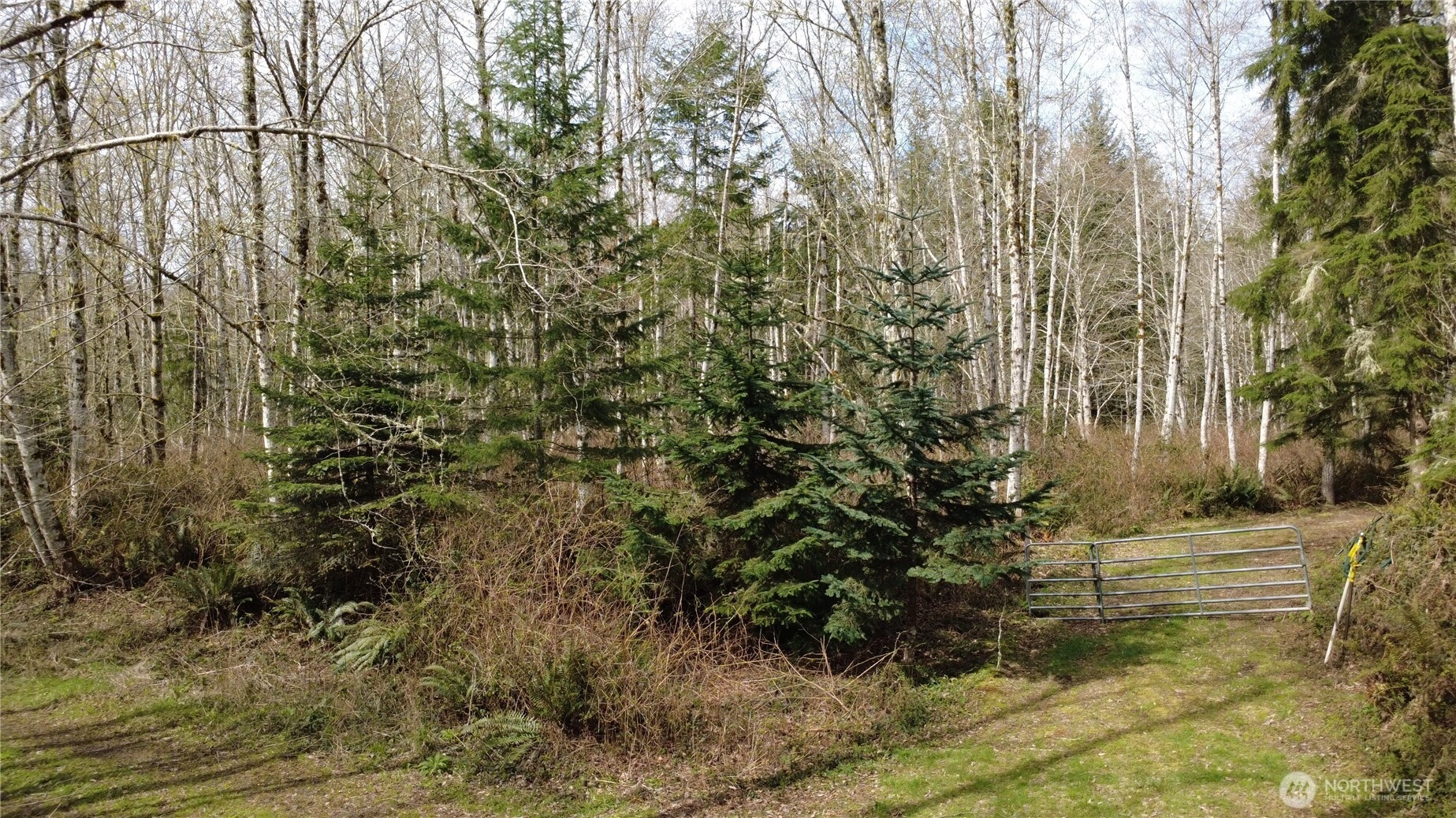 Blacktail Ct Quilcene WA 98376