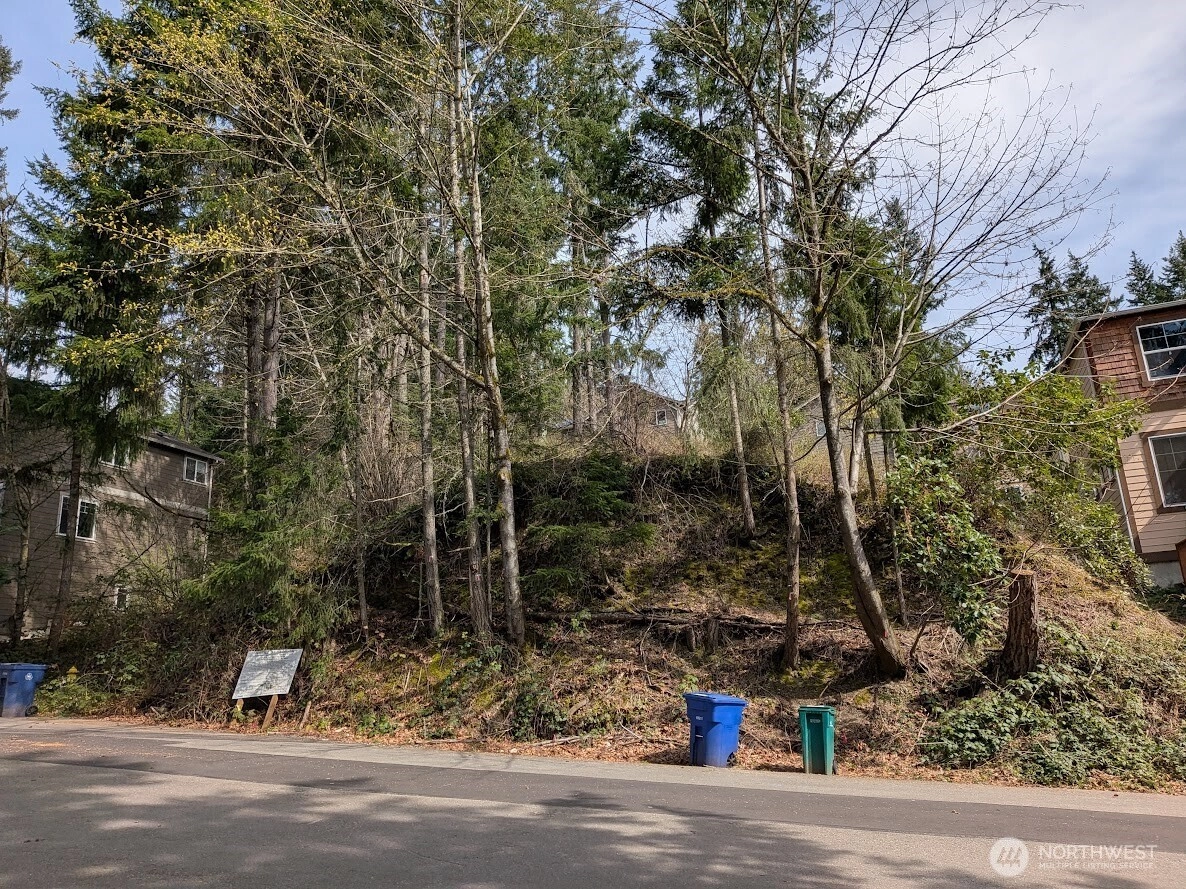 1324 211th Ave NE Sammamish WA 98074