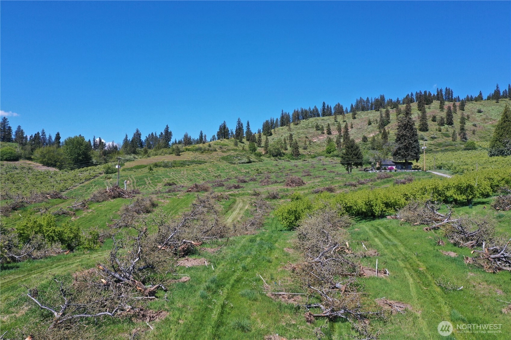 3 Ludwig Hill Rd Peshastin WA 98847