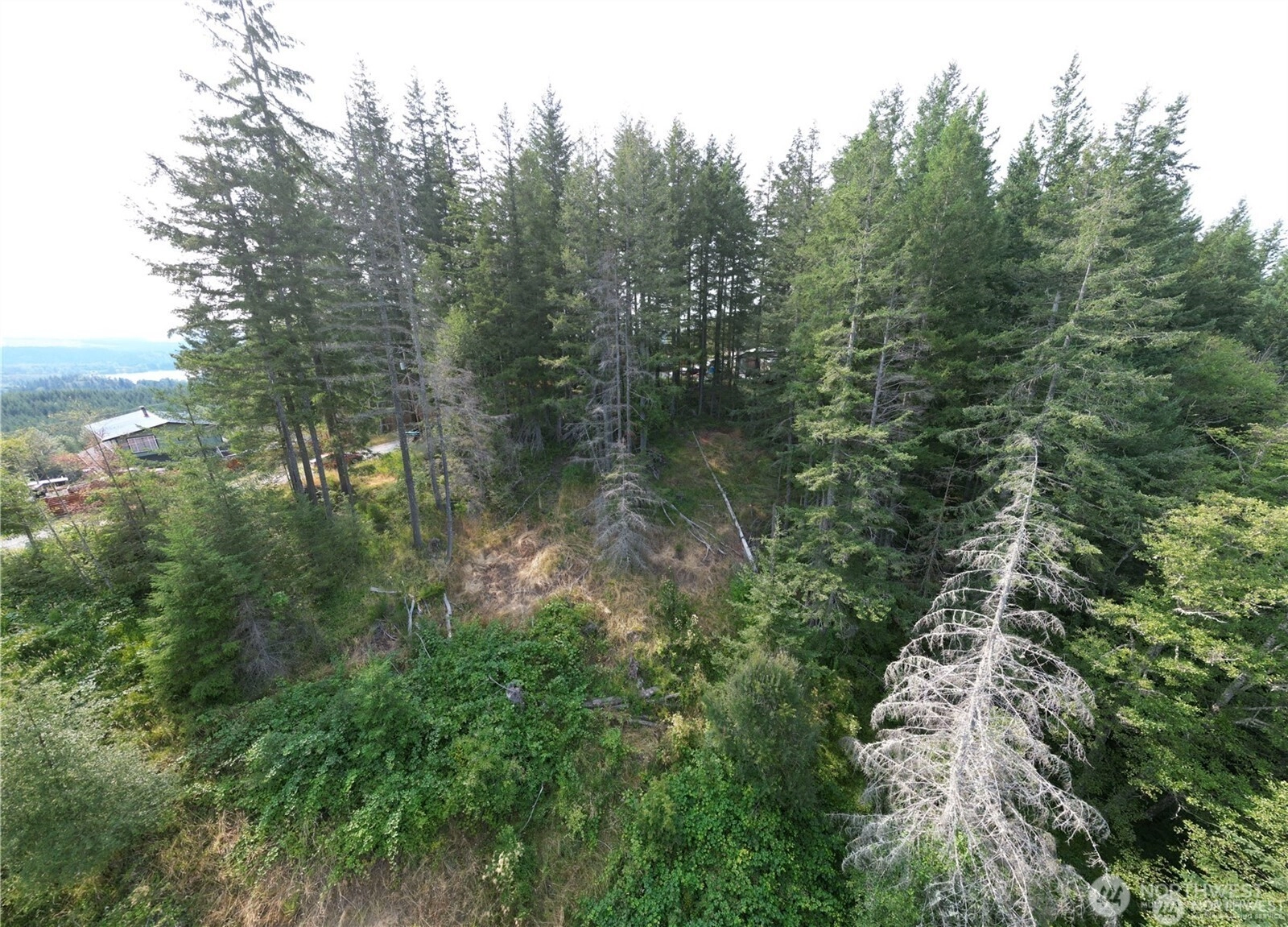 50113 146th Ave E Eatonville WA 98328