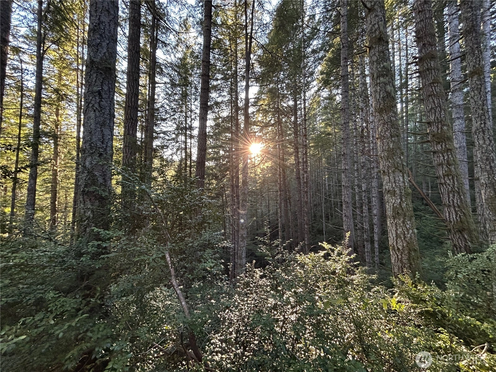 Foley Ln NW Seabeck WA 98380