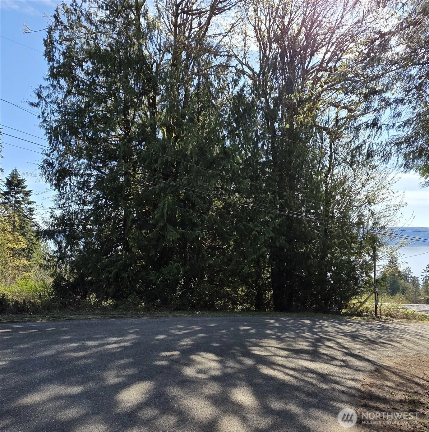 Cedar Pl Brinnon WA 98320