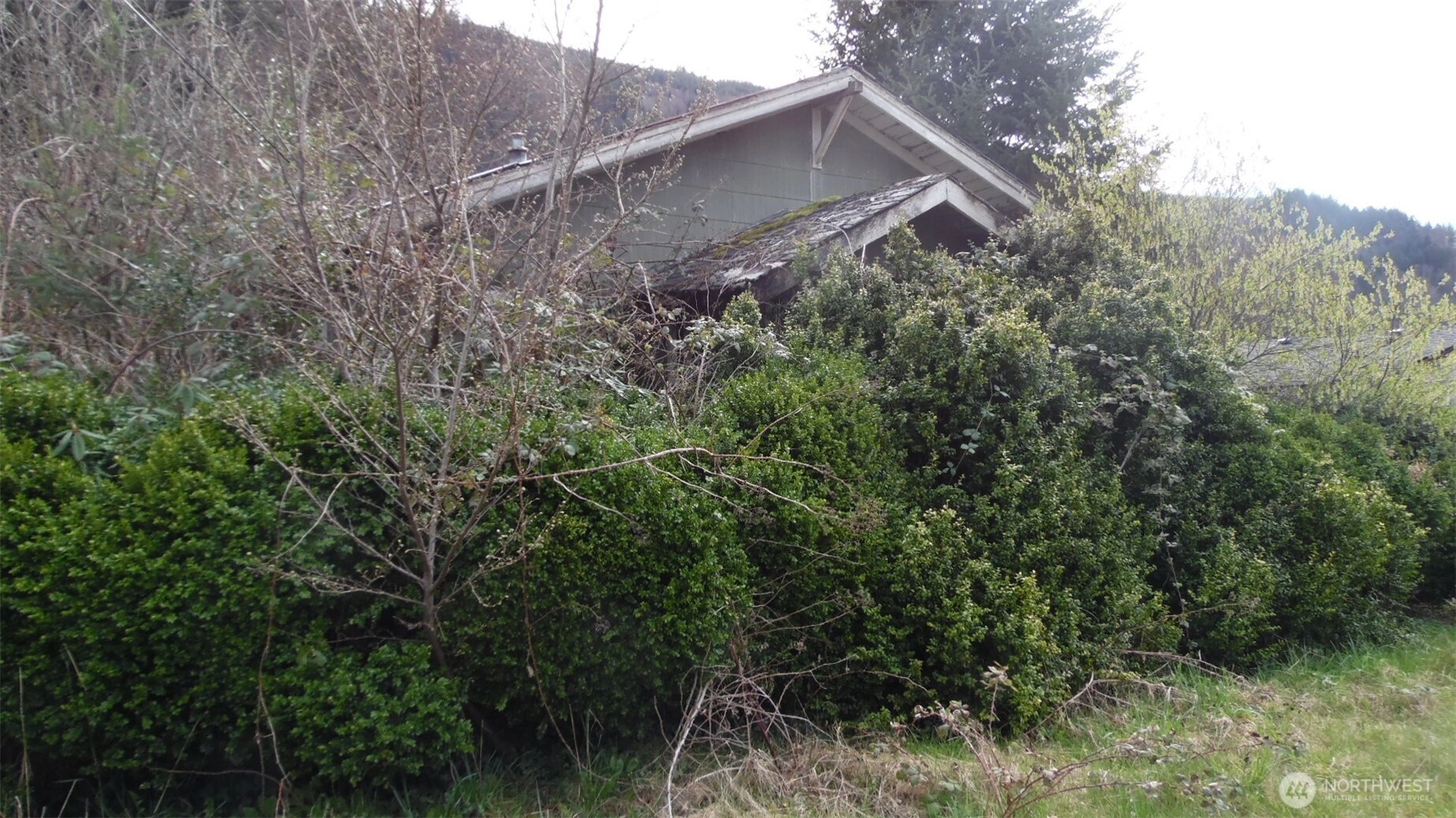 611 Adams Ave Unit  Morton WA 98356