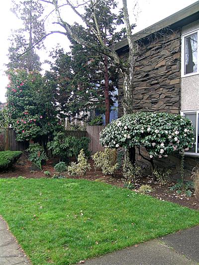 415 Summit Ave E Unit 2 Unit 2 Seattle WA 98102