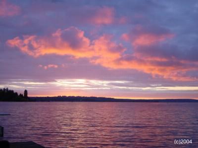 4437 Lake Washington Blvd NE Unit 102 Unit 102 Kirkland WA 98033