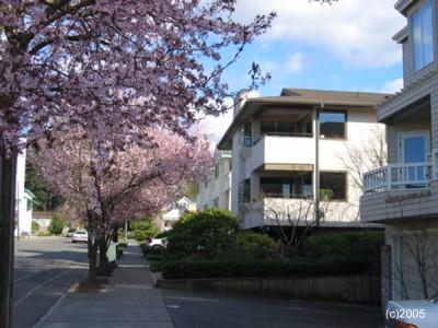 620 Daley St Unit 3 Unit 3 Edmonds WA 98020