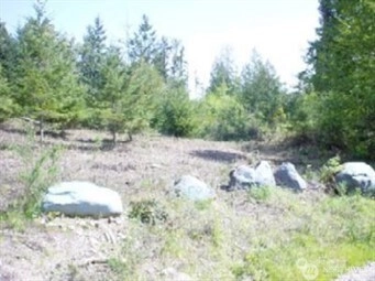 1111 xxxx Whiteman Rd Longbranch WA 98351