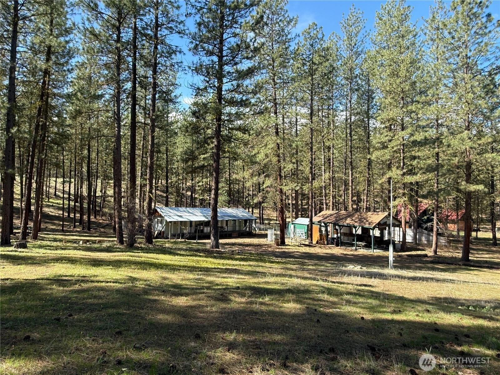 87 Larkspur Dr Unit  Winthrop WA 98862