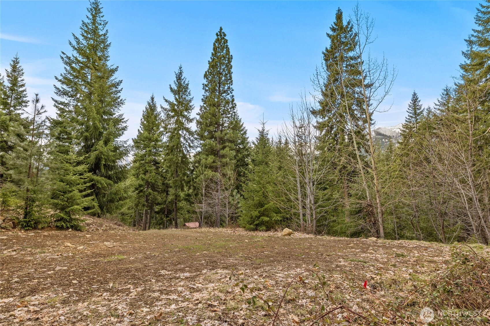33 Lakeside Ct Ronald WA 98940