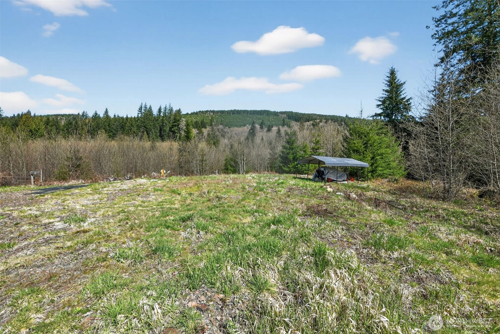 210 Bellicum Rd Morton WA 98356
