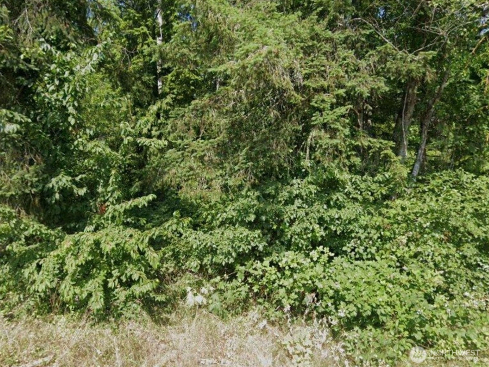 31 NE Burt Court Belfair WA 98528