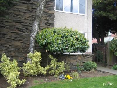 415 Summit Ave E Unit 4 Unit 4 Seattle WA 98102