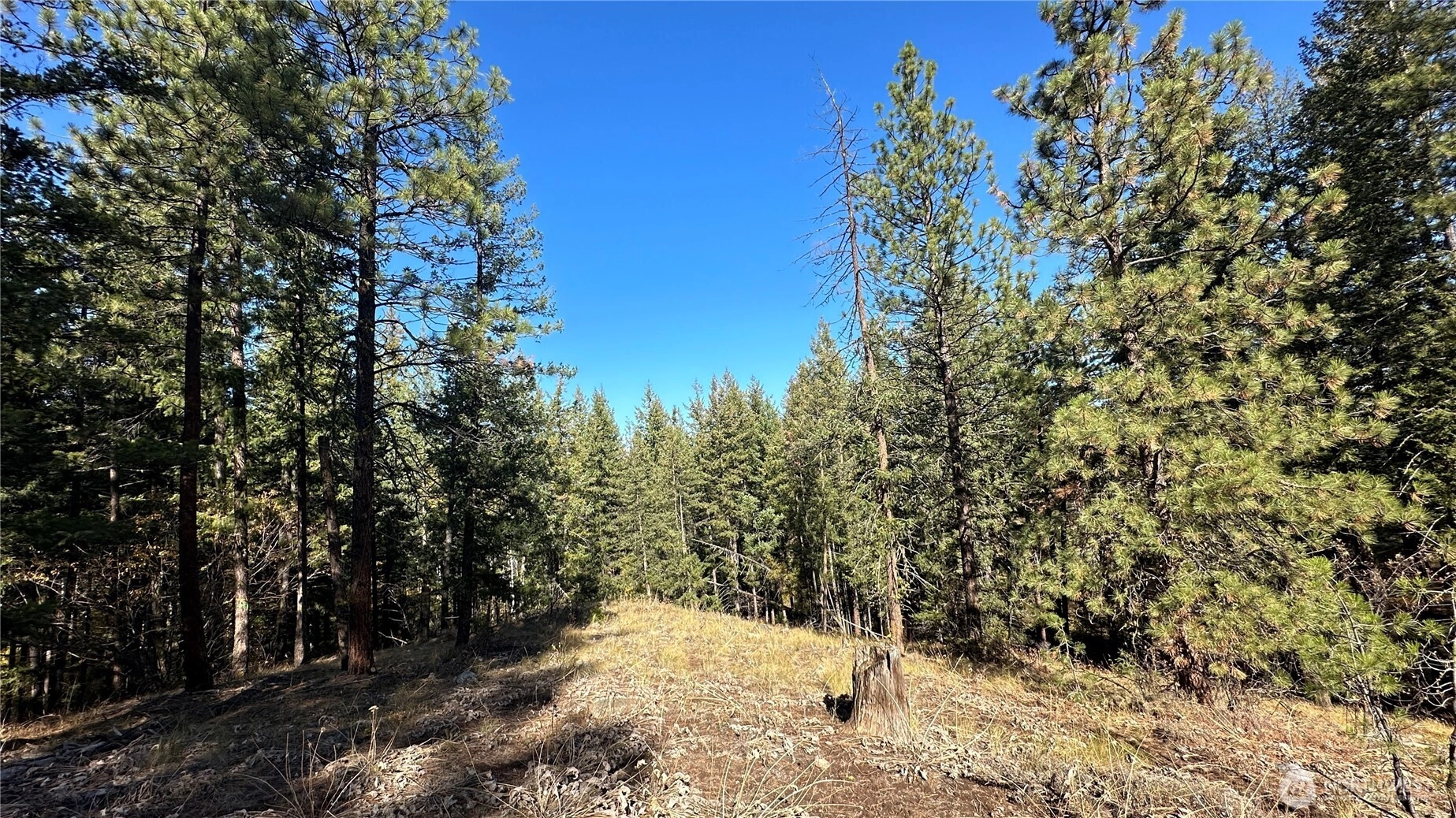 142 C Red Pine Ct Unit  Winthrop WA 98862
