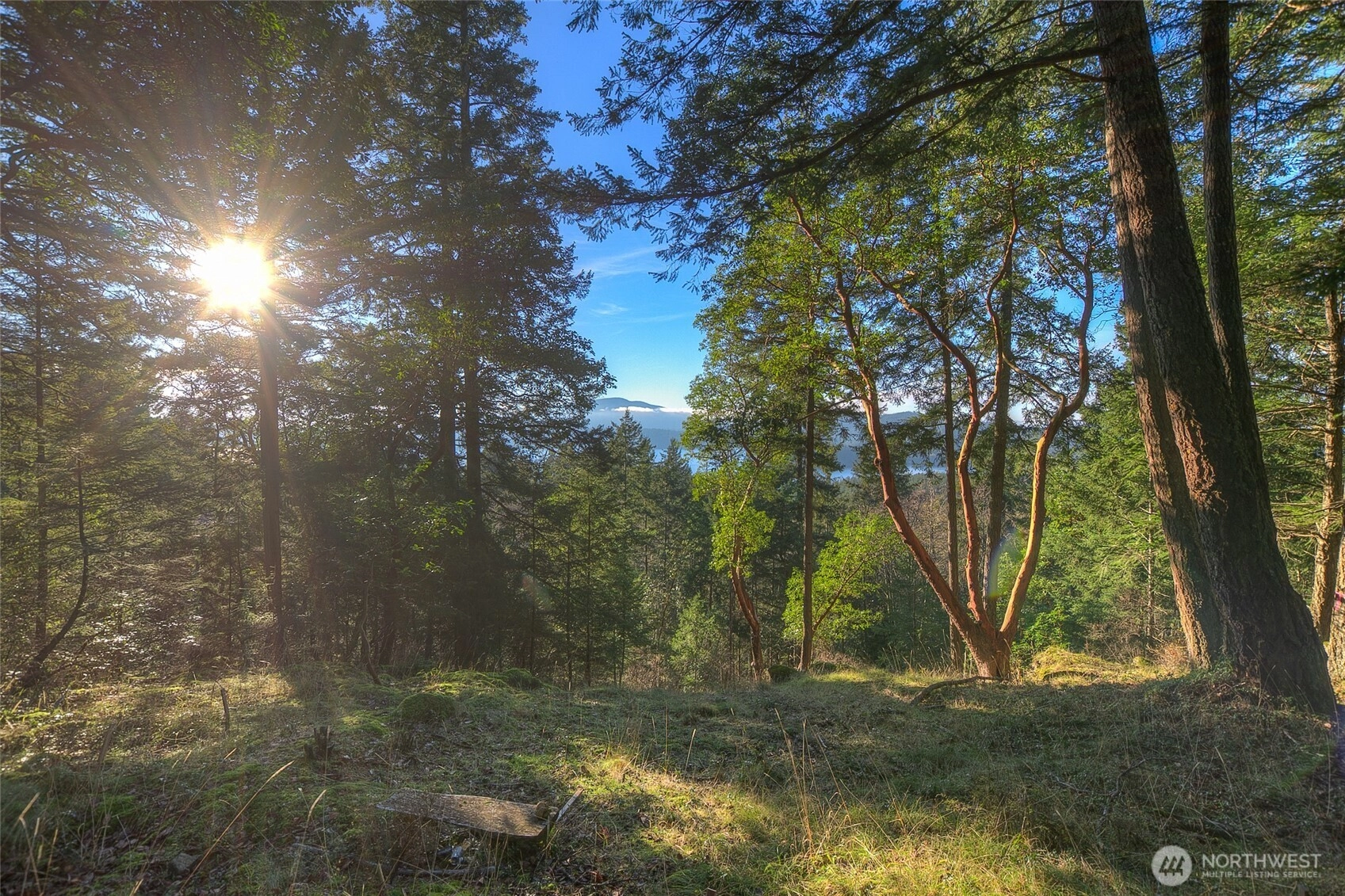 558 Buck Mt Rd Orcas Island WA 98245