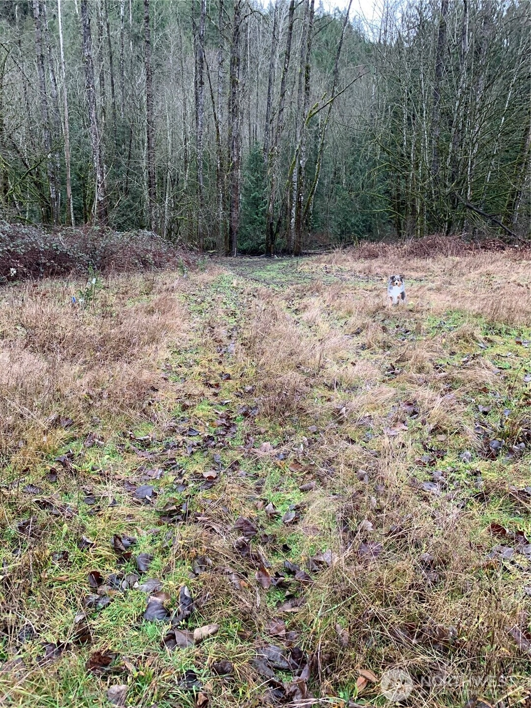 3838 E Hoff Everson WA 98247