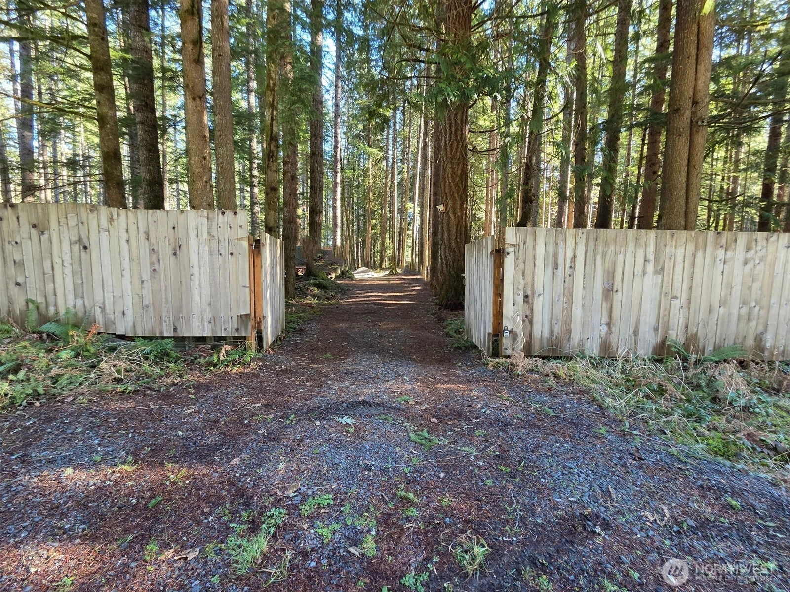 56207 E Kernahan Rd Ashford WA 98304