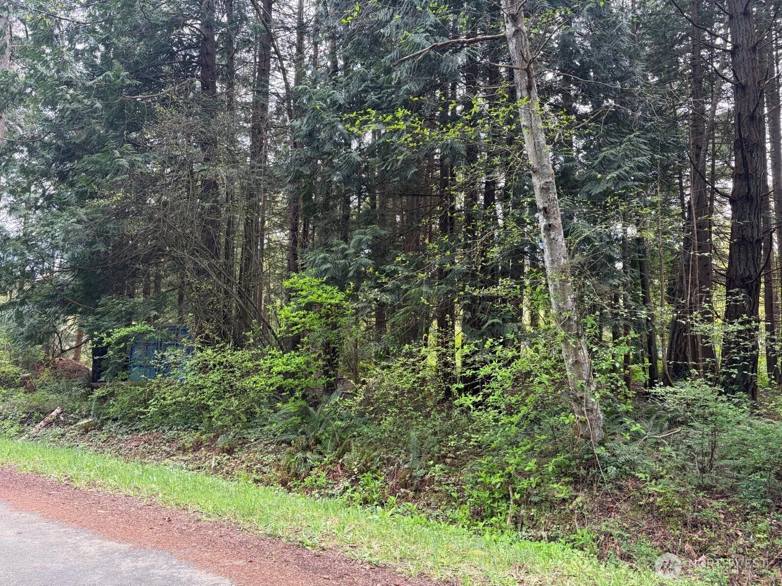 318 Madrona Pl Point Roberts WA 98281